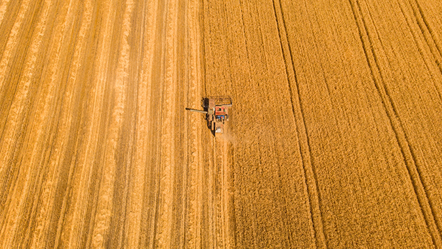 1740446593543_N7ifpX_1740446593956